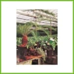 Hydrokweekpot - Afbeelding 5